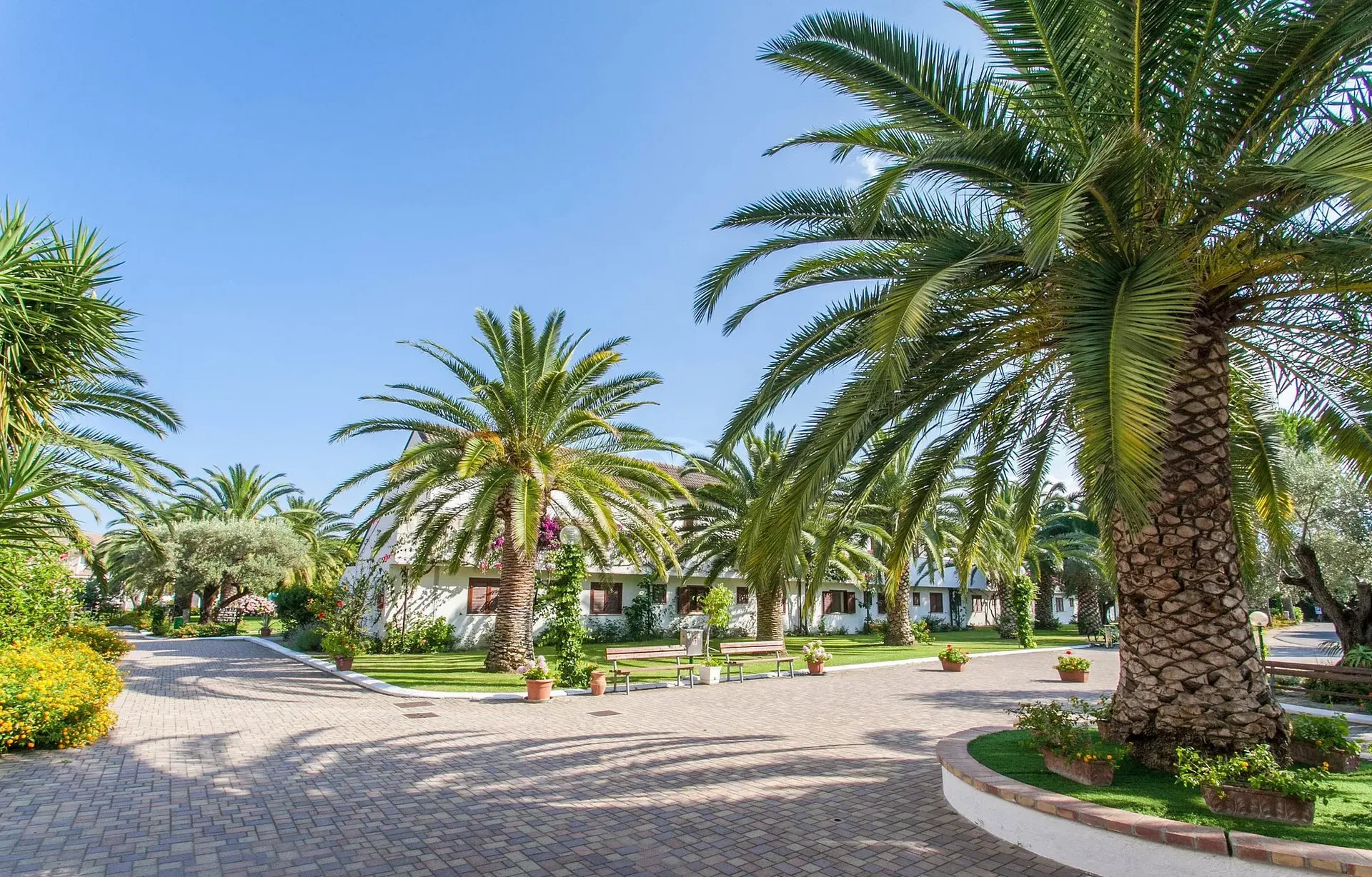 Vialetto pavimentato del resort fiancheggiato da palme e prati curati