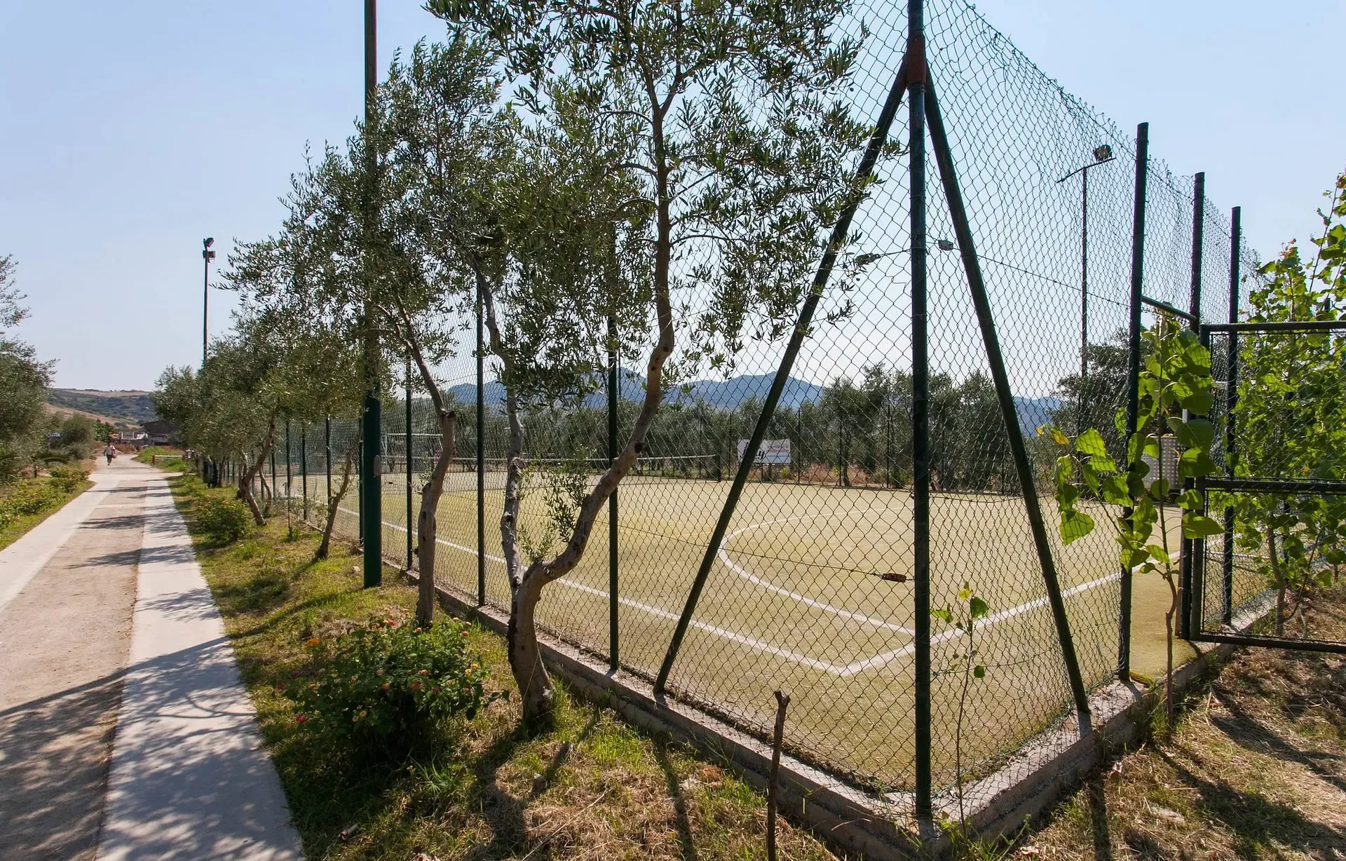 Campo sportivo da calcetto recintato circondato da ulivi e vialetto