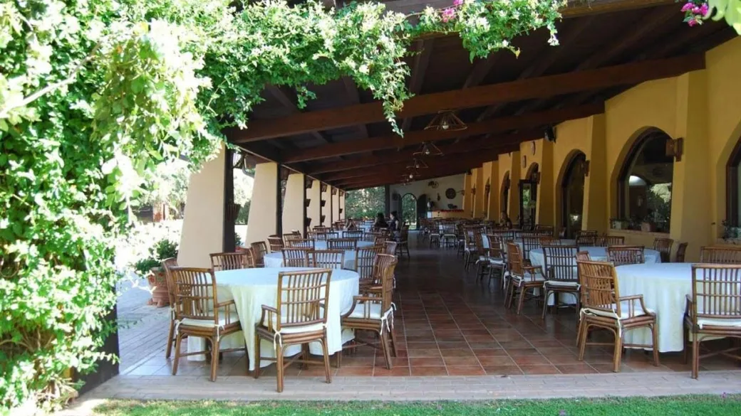 Terrazza ristorante con pergolato coperto di rampicanti e tavoli apparecchiati
