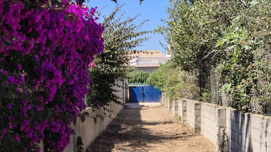 Sentiero fiorito con bouganville e muretti che conduce verso l'edificio