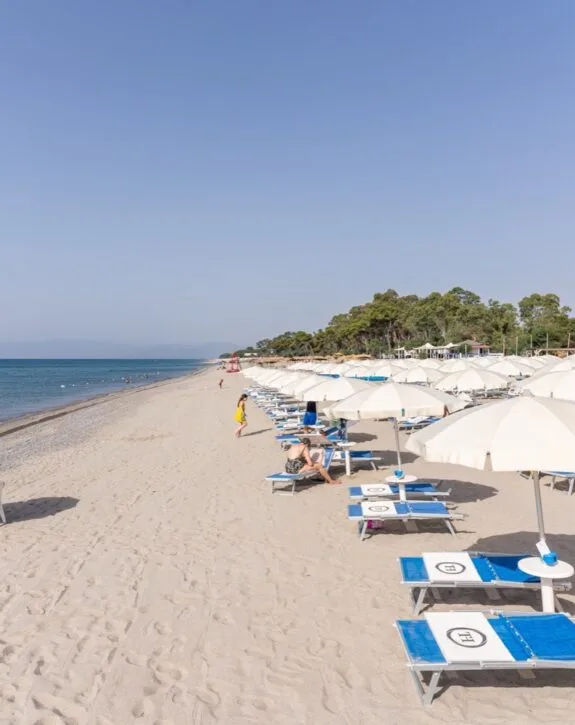 Spiaggia sabbiosa con file di ombrelloni bianchi e lettini blu vicino al mare calmo sotto cielo sereno.