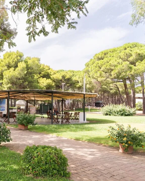 Area picnic con tavoli e sedie sotto una tettoia in un parco verde con alberi e cespugli fioriti.