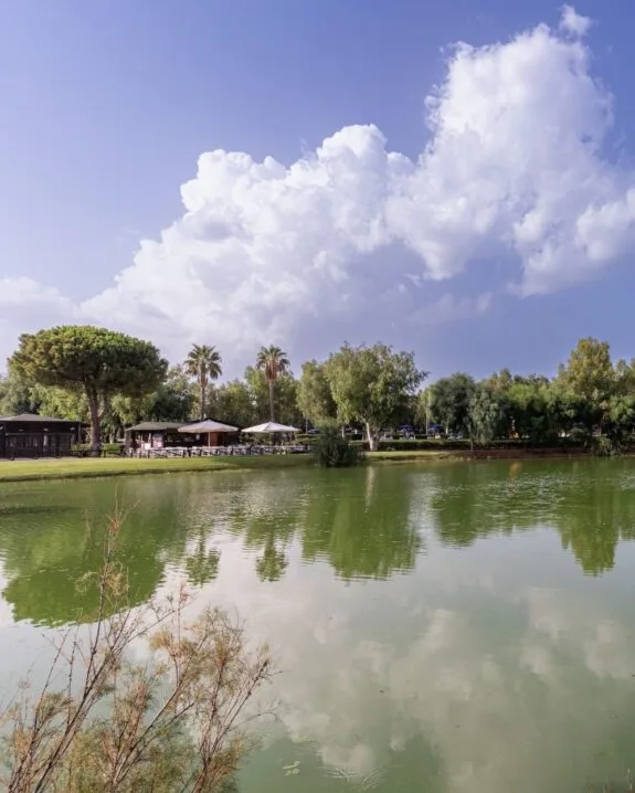 Lago verde con riflessi di alberi e nuvole, area picnic con ombrelloni e piante rigogliose sullo sfondo.